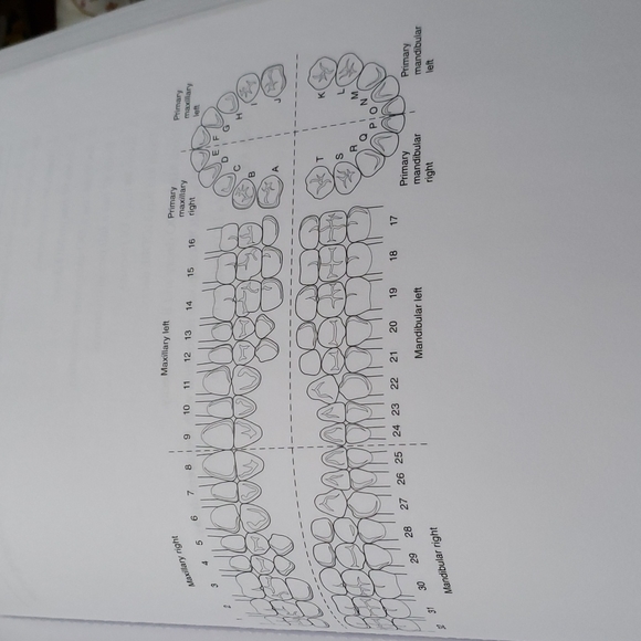 Dental Assisting Coloring Book unused - Picture 13 of 14